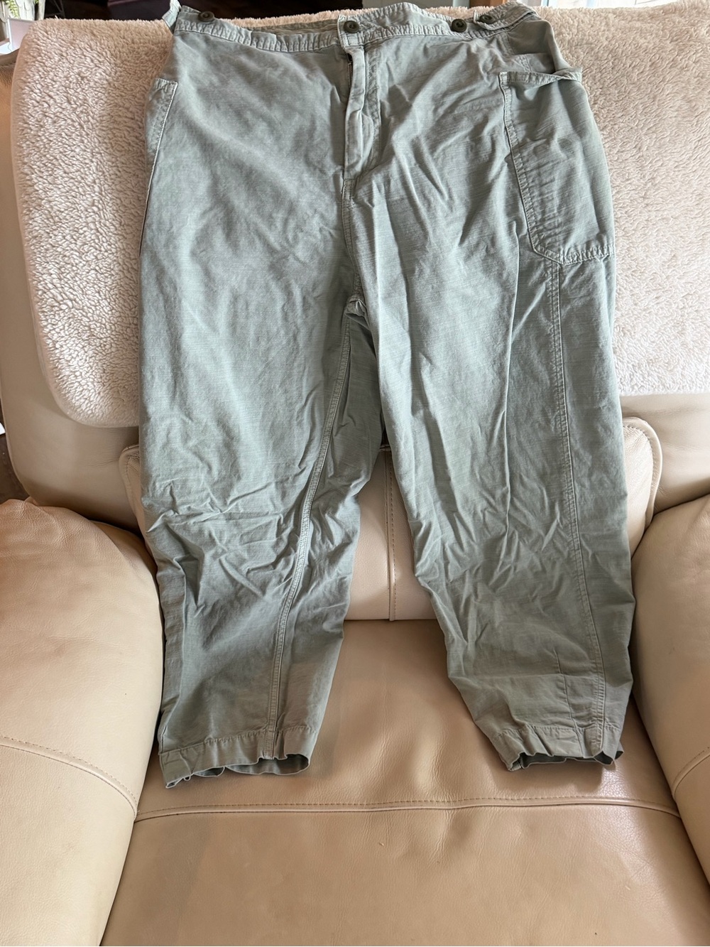 Everlane Cropped Sage Utility Pants